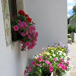 Digonera Historic Hotel 3*