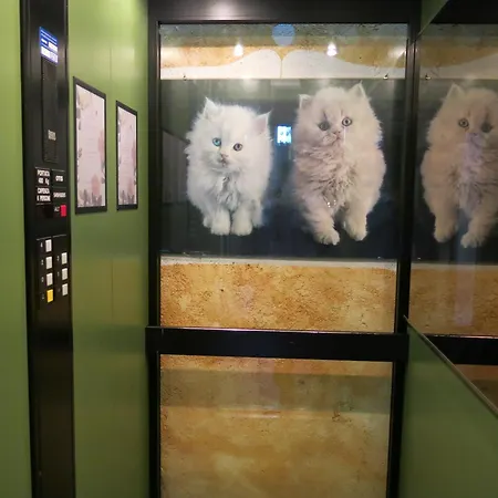 ホテル Digonera Historic