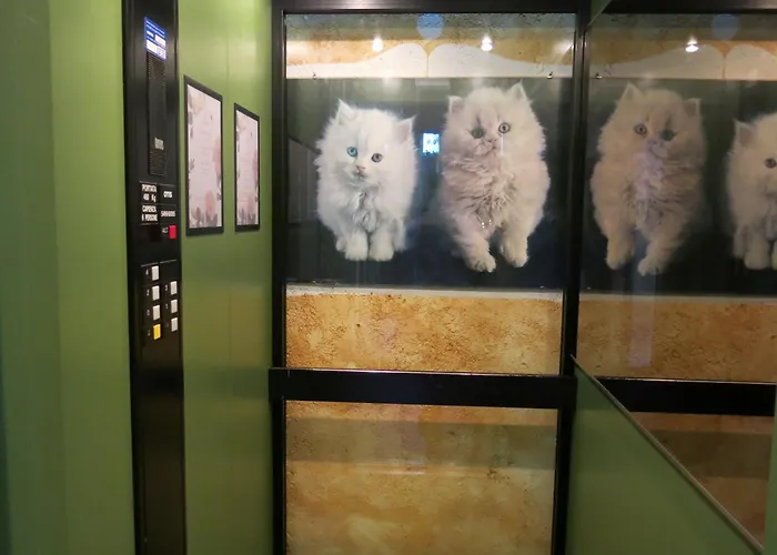 Hotel Digonera Historic